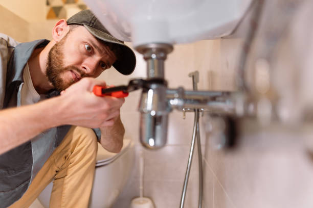 Best Local Plumber Services  in Robie Creek, ID