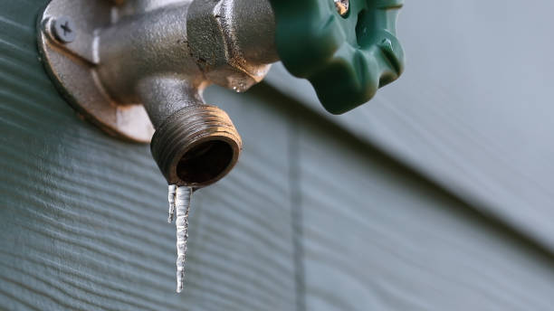 Best Residential Plumbing Services  in Robie Creek, ID