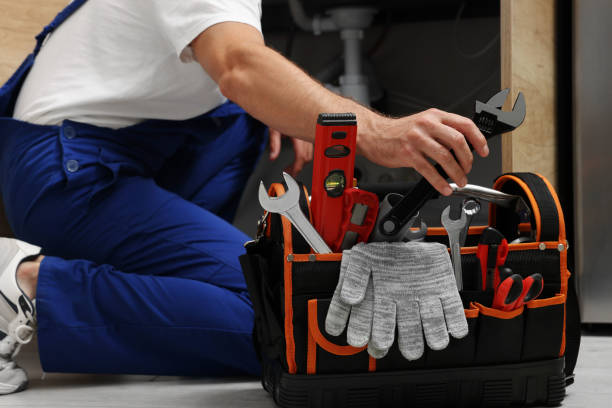 Best Emergency Plumber  in Robie Creek, ID